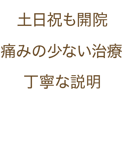 土日祝も開院 痛みの少ない治療 丁寧な説明